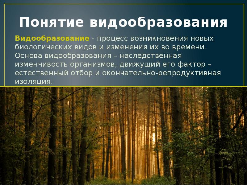 Появление новых видов. Лекция вид и видообразование. Закономерности видообразования. Репродуктивная изоляция естественный отбор. Факторы видообразования.