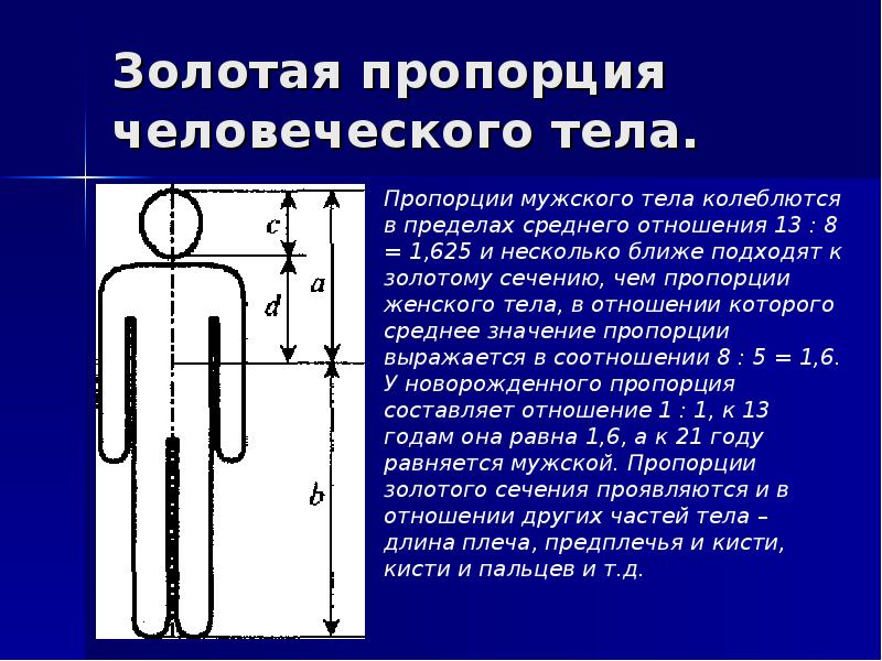 Золотая пропорция презентация