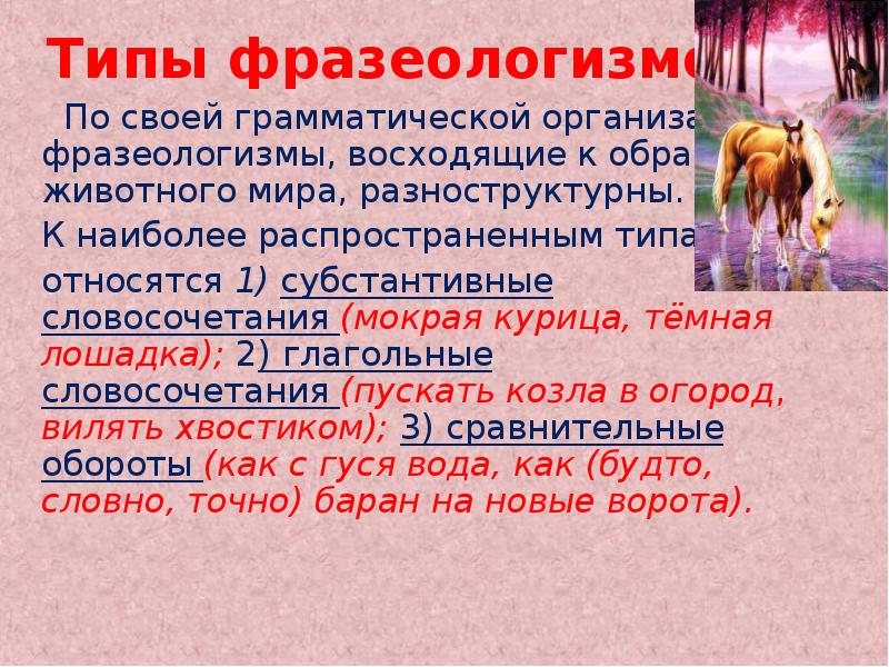 Фразеологизмы виды