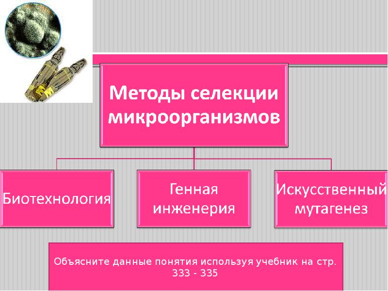 Методы селекции микроорганизмов презентация