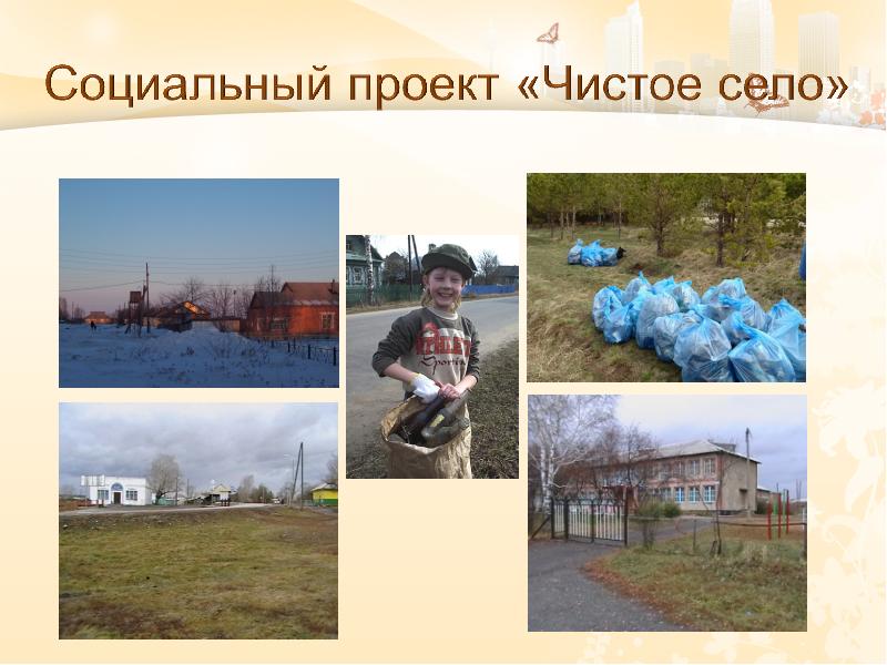 Проект чистое село