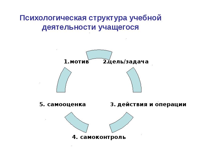 Структура учебной деятельности схема