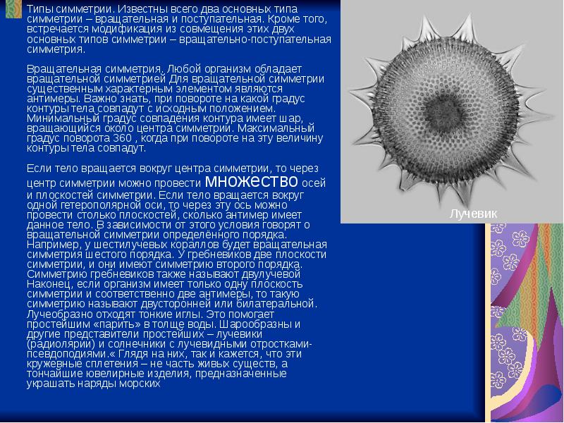 2 типа симметрии. Вращательно поступательная симметрия. Типы симметрии простейших. Вращательно поступательная симметрия у животных. Типы симметрии 2 типа.