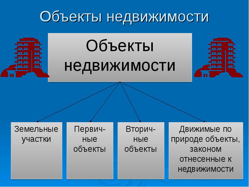 Риэлторская деятельность презентация