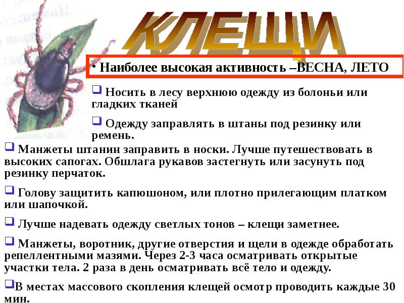 Действия работников в условиях негативных и опасных факторов бытового характера презентация