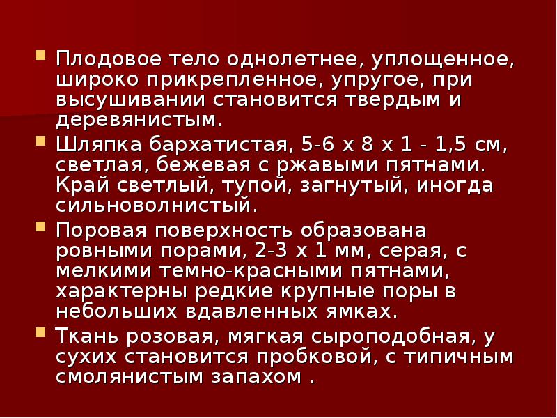 Плодовое тело однолетнее, уплощенное, широко при&shy;крепленное, упругое, при высушивании становится твердым