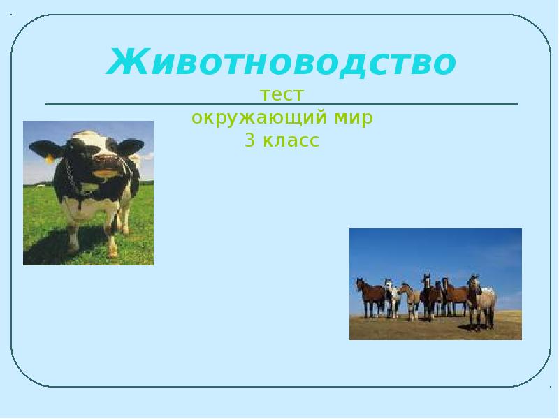 Животноводство в нашем крае 4 класс окружающий мир презентация школа россии плешаков