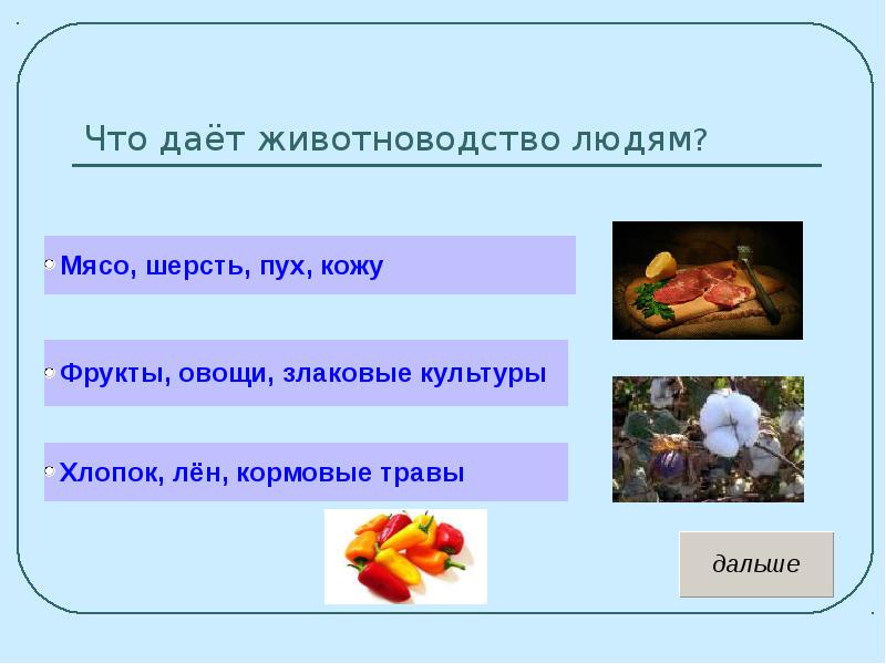 Животноводство в нашем крае 4 класс окружающий мир презентация школа россии плешаков