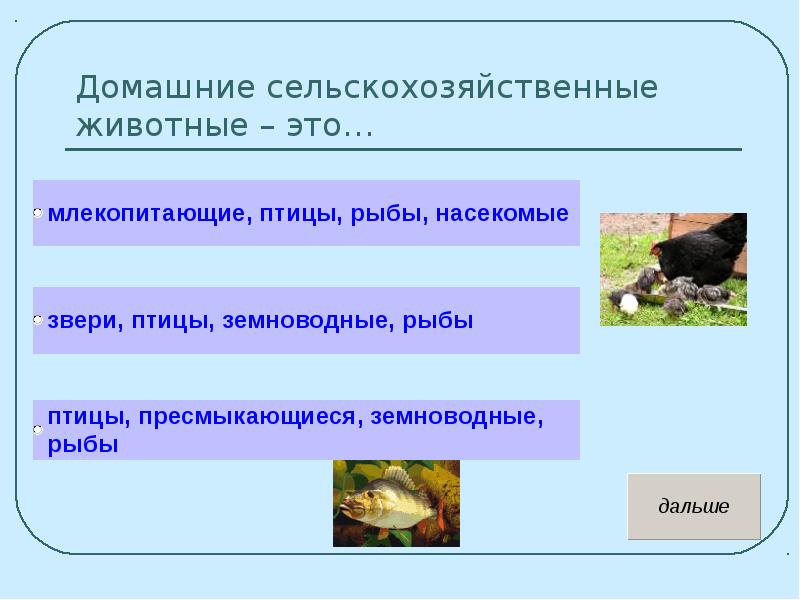 Тест на тему животноводство 3. Сельскохозяйственные животные презентация. Проект на тему сельскохозяйственные животные. Сообщение на тему сельскохозяйственные животные. Сельскохозяйственные животные доклад 3 класс.