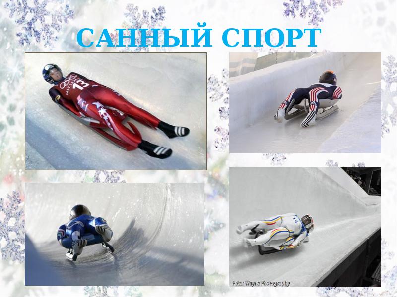 Зимние виды спорта санный спорт