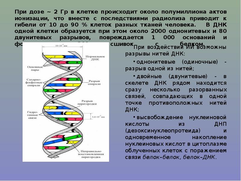 Презентация физика ионизирующее излучение