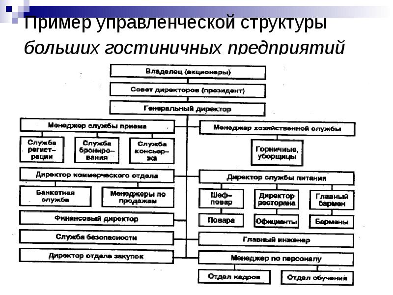 Структура управления деятельностью