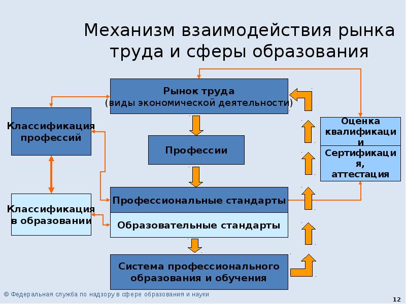 В чем взаимосвязь науки и образования. Механизм рынка труда. Рынок труда в сфере образования. Взаимодействие рынка труда и образования. Образование в рыночных условиях.