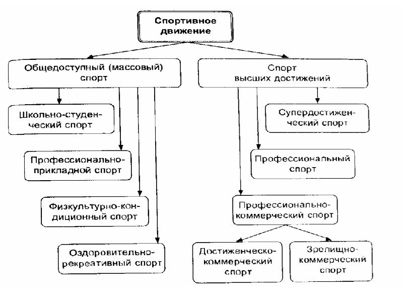 Виды физических рекреаций. Виды спорта высших достижений. Массовый спорт и спорт высших достижений. Спорт высших достижений цели и задачи. Массовый спорт и спорт высших достижений различия.