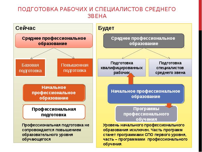 Образовательные учреждения высшего профессионального образования. Программа подготовки специалистов среднего звена что это. Программы среднего профессионального образования. Подготовка специалистов среднего звена. Специалист среднего звена.