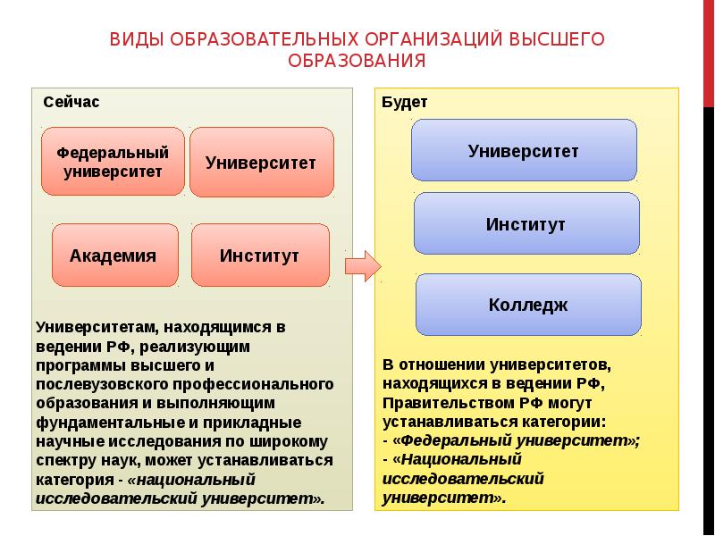 Образовательная организация пример. Виды образовательных организаций. Виды образовательных организаций высшего образования. Виды образовательных учреждений. Перечислите типы образовательных организаций..