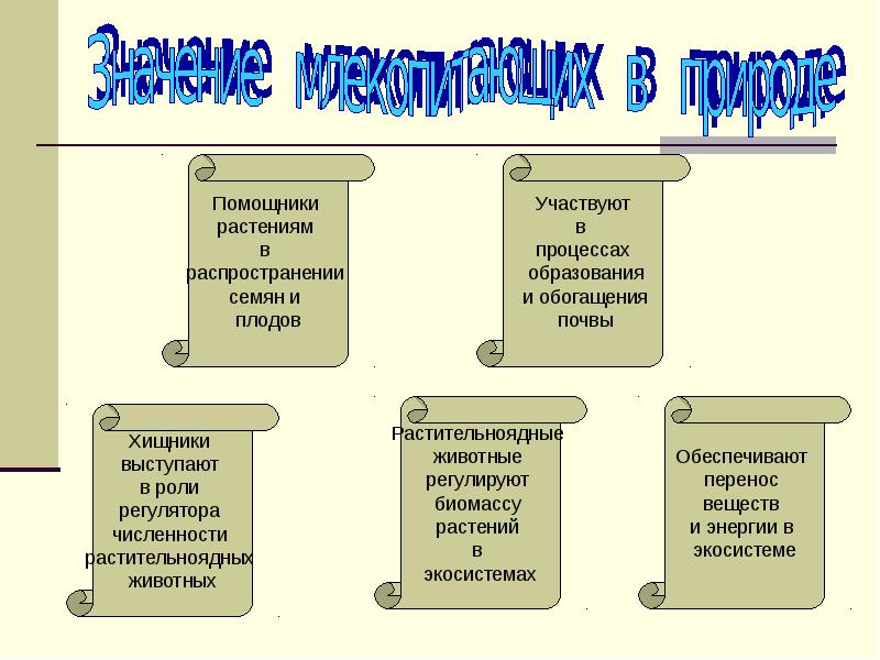 Значение млекопитающих для человека презентация 7 класс