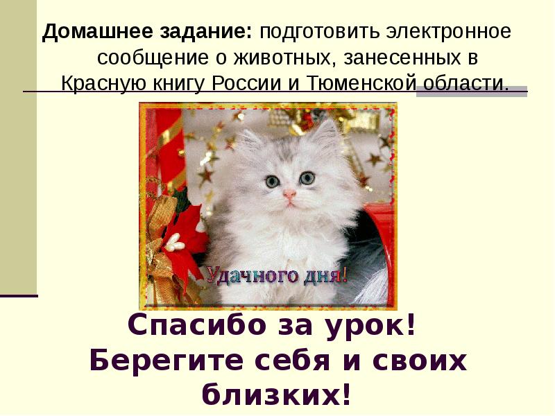 Спасибо за урок!  Берегите себя и своих близких! Домашнее задание: