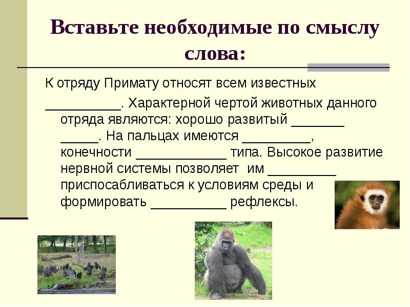 Вставьте необходимые по смыслу слова:
К отряду Примату относят всем известных Вставьте необходимые по смыслу слова:
К отряду Примату относят всем известных