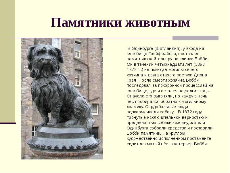 Памятники животным
В Эдинбурге (Шотландия), у входа на
кладбище Грейфрайерз, Памятники животным
В Эдинбурге (Шотландия), у входа на
кладбище Грейфрайерз,