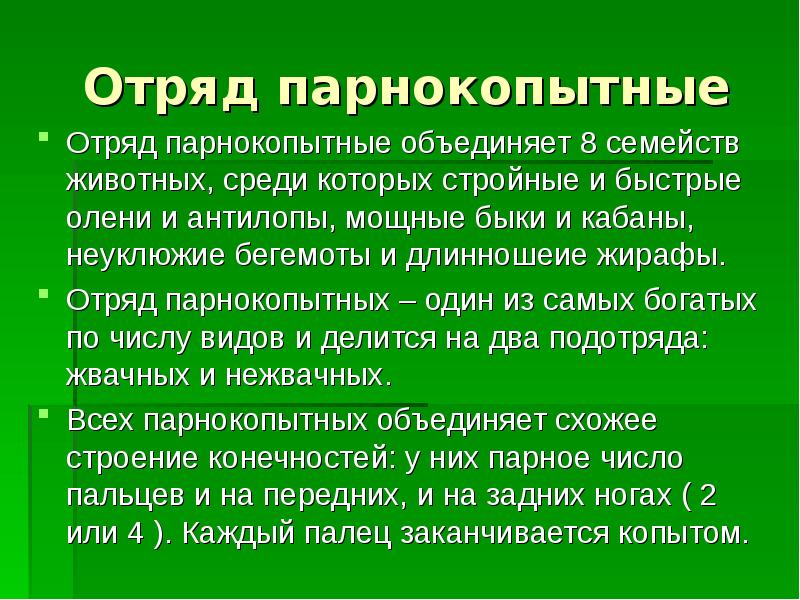 Парнокопытные животные презентация