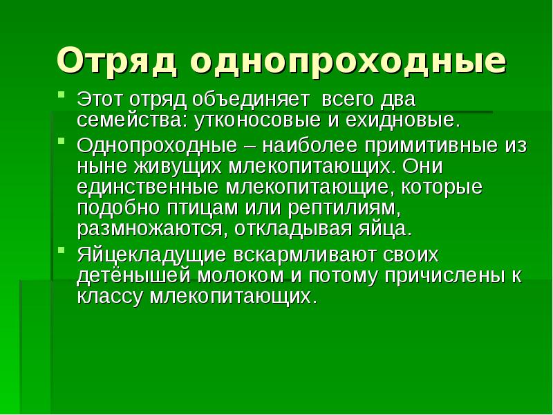 Презентация на тему однопроходные биология 7 класс