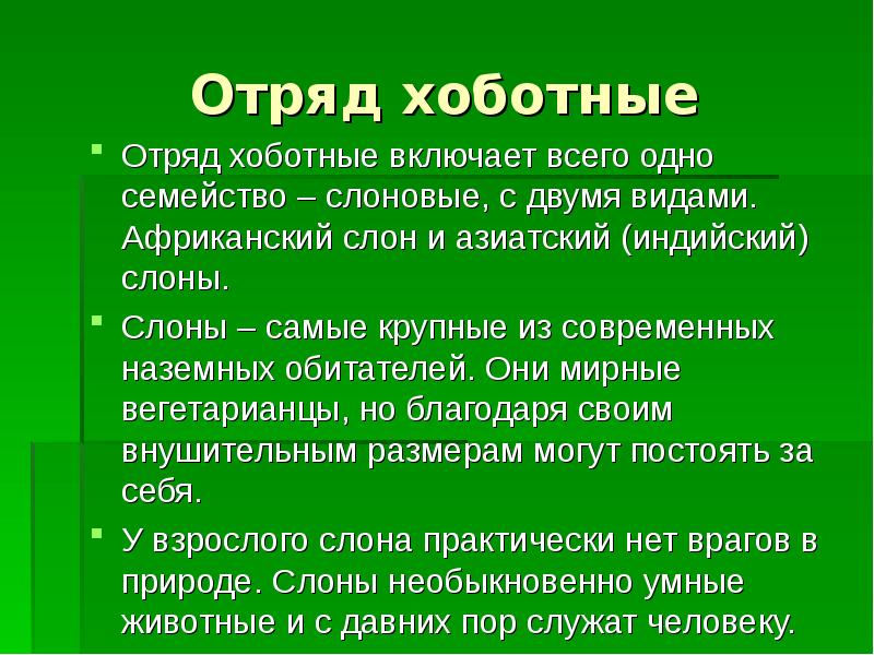 Отряд хоботные презентация 7 класс