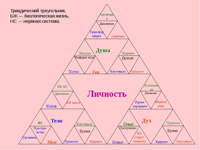 Тест на темную и светлую триаду с диаграммой