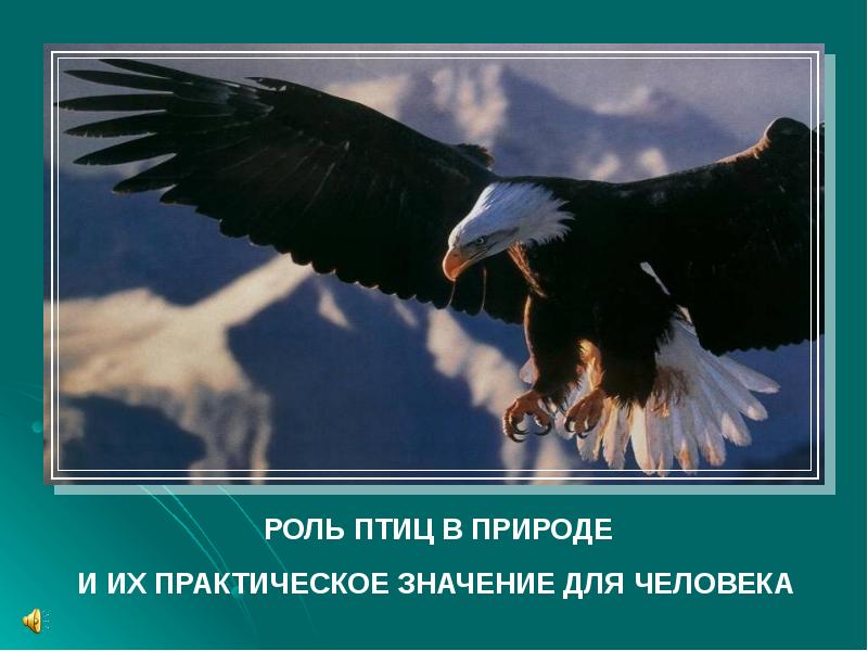 Роль птицы. Роль птиц. Роль хищных птиц в природе. Роль птиц для человека картинка. Значение орла в природе и жизни человека.