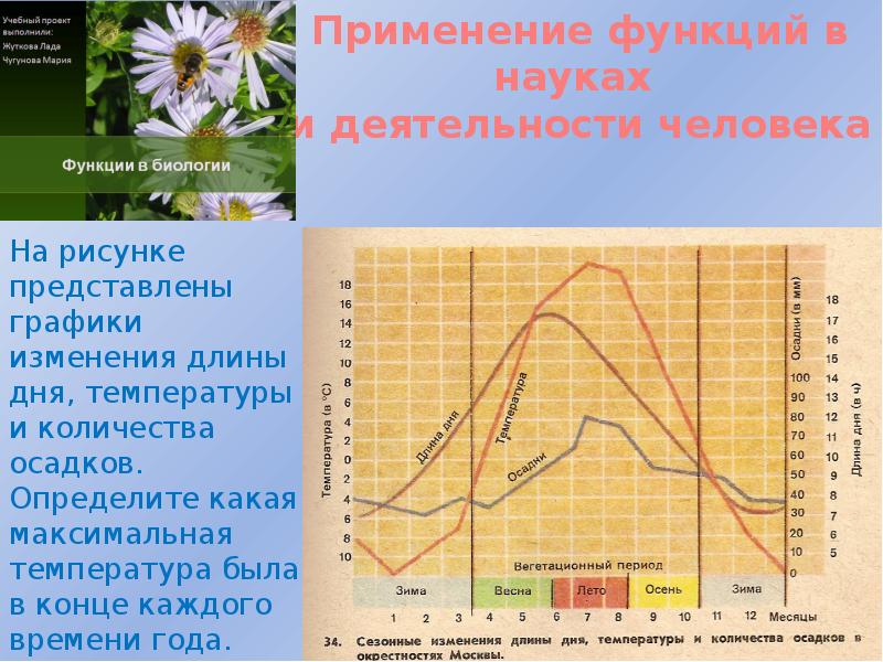 Использование функций в жизни