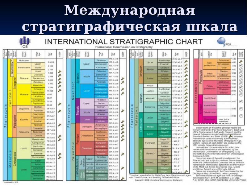 Шкала времени для презентации