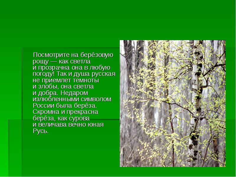 В березовой роще 2 класс планета знаний презентация