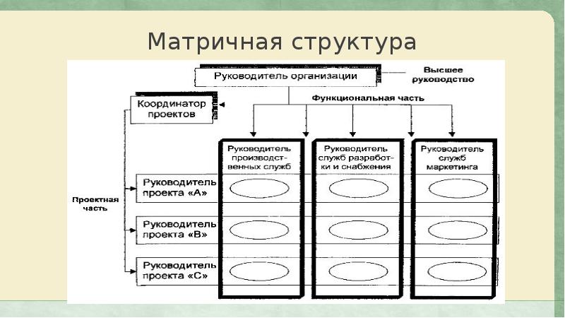 Руководитель маркетинговых проектов