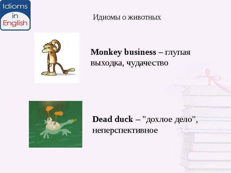 Презентация idioms in english