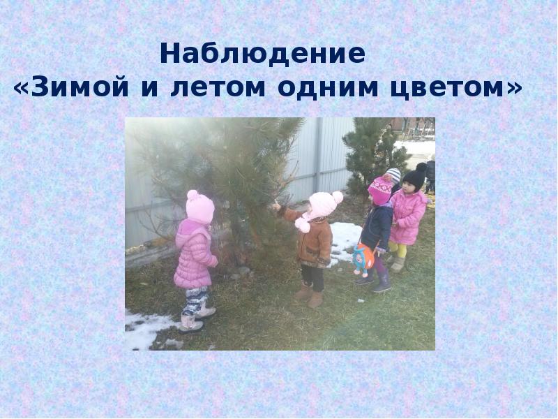 Наблюдение 10. Зимой и летом одним цветом. Зимой и летом не одним цветом. Зимой и летом одним цветом песня. Давай зимой и летом 1 цветом Угадай что это.