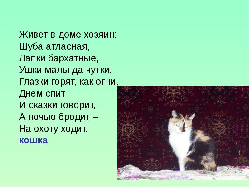 Бредешь жив. Живёт в доме хозяин: шубка атласная, лапки бархатные, ушки чуткие.. Живёт в доме хозяин загадка. Загадка живёт в доме хозяин шубка атласная. Живет в доме хозяин шубка атласная лапки бархатные.