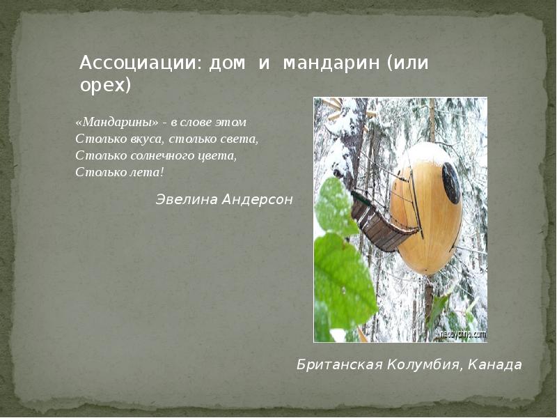 игра слова из слова. детский стих про апельсин. интересные факты о апельсине. интересный оранжевый цвет. рассказ про мандарин.