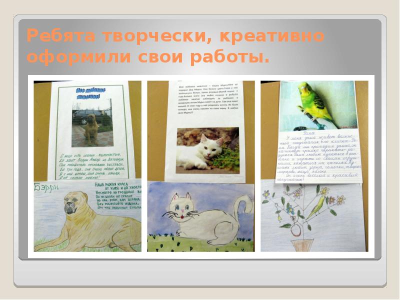 Как оформить творческую работу. Долгосрочный проект наши верные друзья. как творчески оформить биографию. 1 класс наши верные друзья.