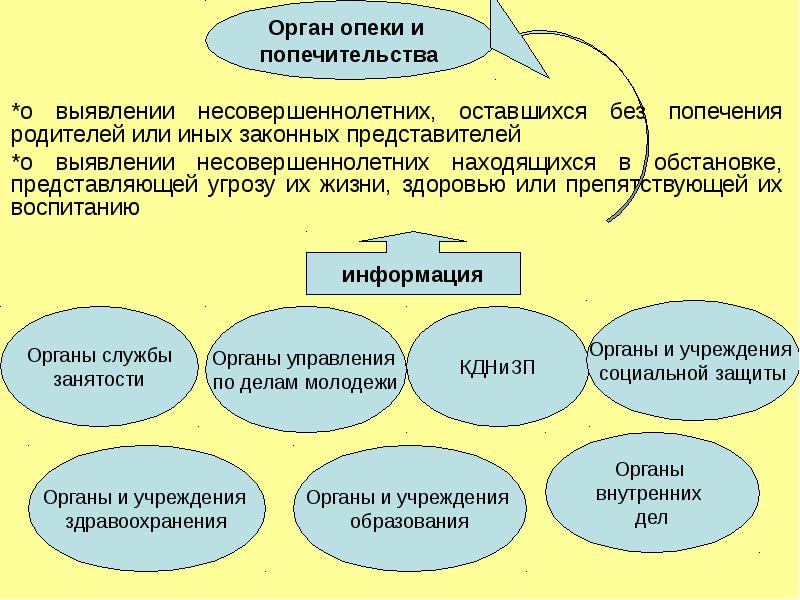 Формы устройства граждан