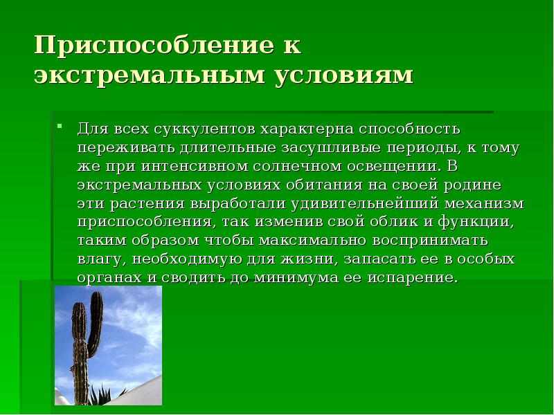 Презентация приспособленность растений к среде обитания