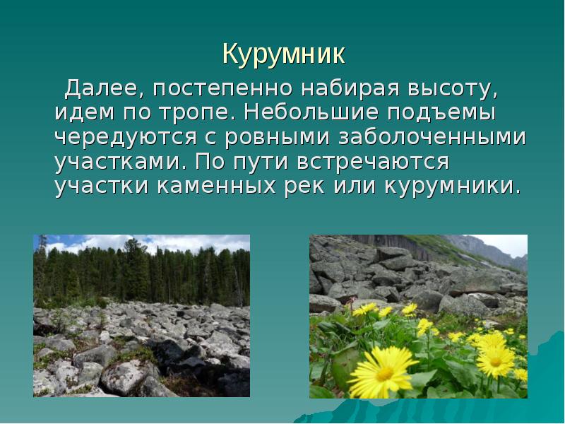 Как образуются курумники схема.