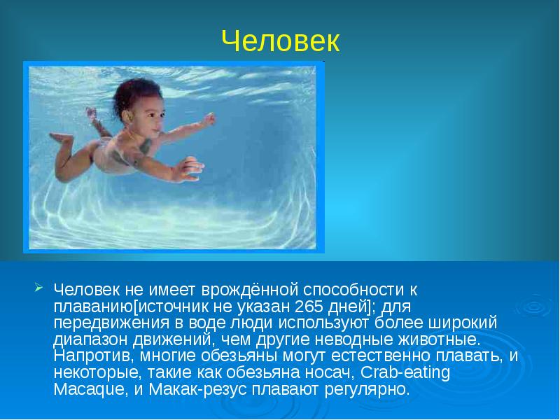 Плавание по физкультуре. Презентация на тему пловец. Плавание сообщение 2 класс. Слова из слова купание