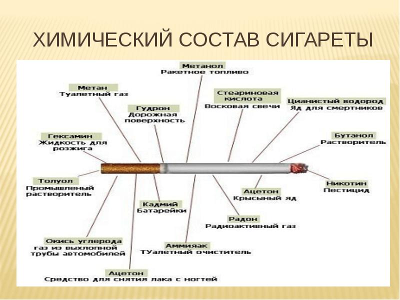 Фото из чего состоит сигарета