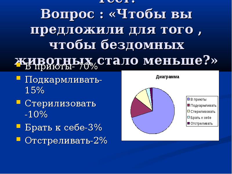 Проблема бездомных животных проект