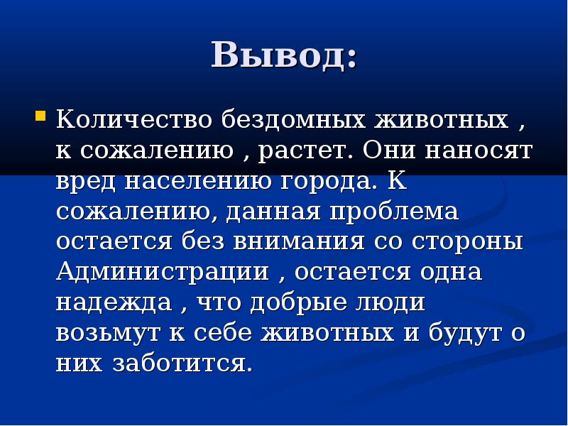 Выводить город. Выводы по проблеме бездомных животных. Бездомные животные заключение вывод. Проект о бездомных животных заключение. Проблема бездомных животных вывод.