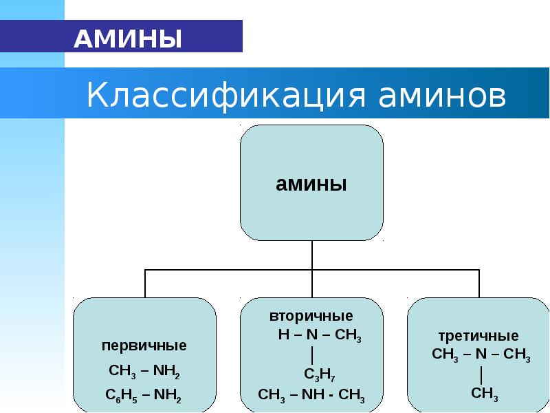 Первичный насыщенный амин. Первичные вторичные и третичные Амины. Классификация Аминов первичные вторичные третичные. Амины классификация Аминов. Первичные третичные Амины.