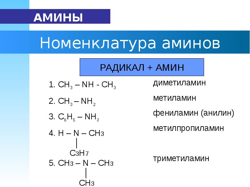 Амины метиламин и анилин. Номенклатура Аминов. Строение Аминов.. Амины строение и номенклатура. Метилпропиламин структурная формула. Амины классификация номенклатура физические свойства.