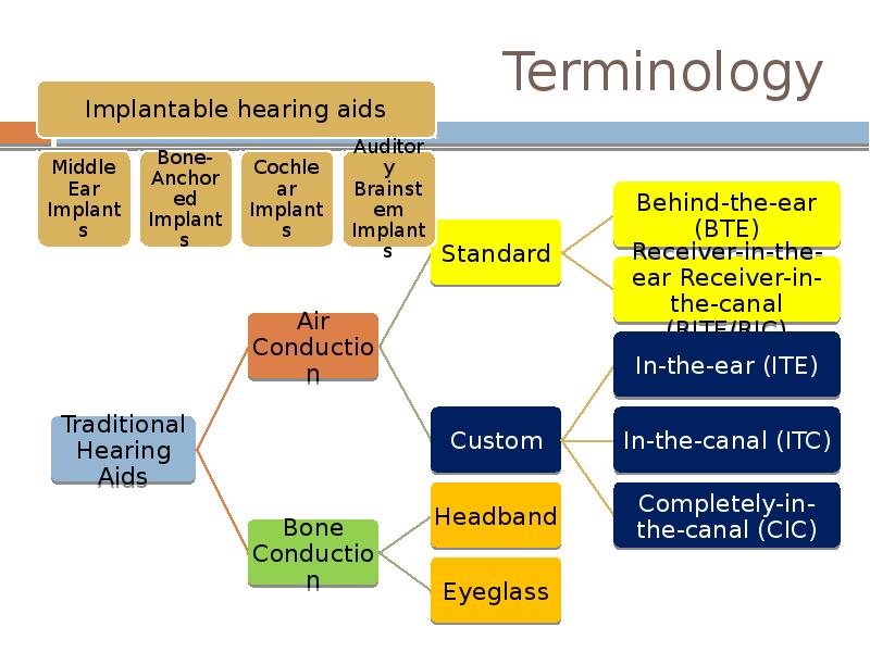 Terminology Terminology