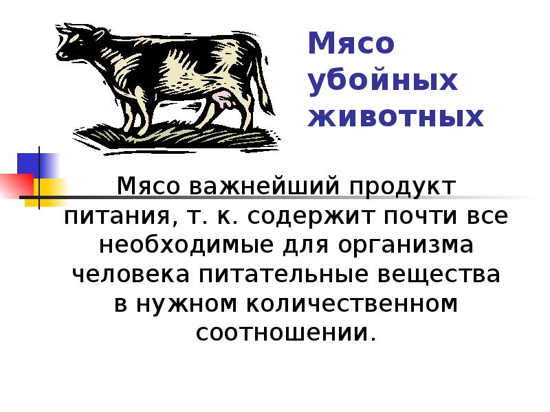 Классификация убойных животных. Белки мясо убойных животных. Мясо убойных животных. Значение в питании. Сообщение о убое животных.