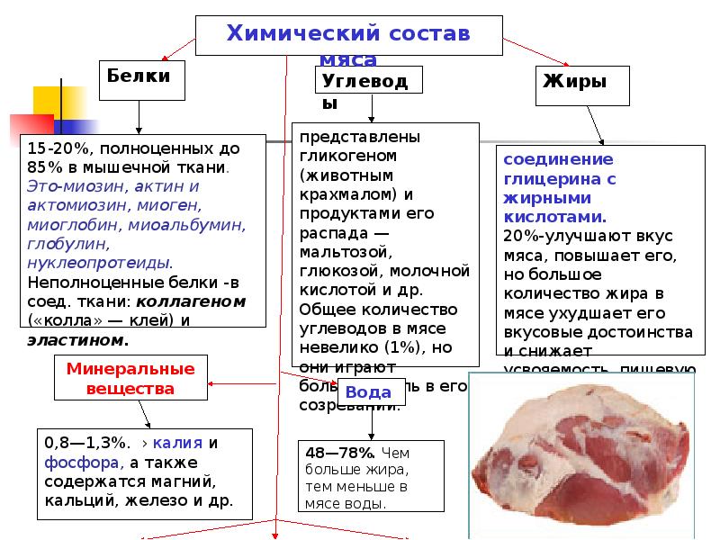 Классификация убойных животных